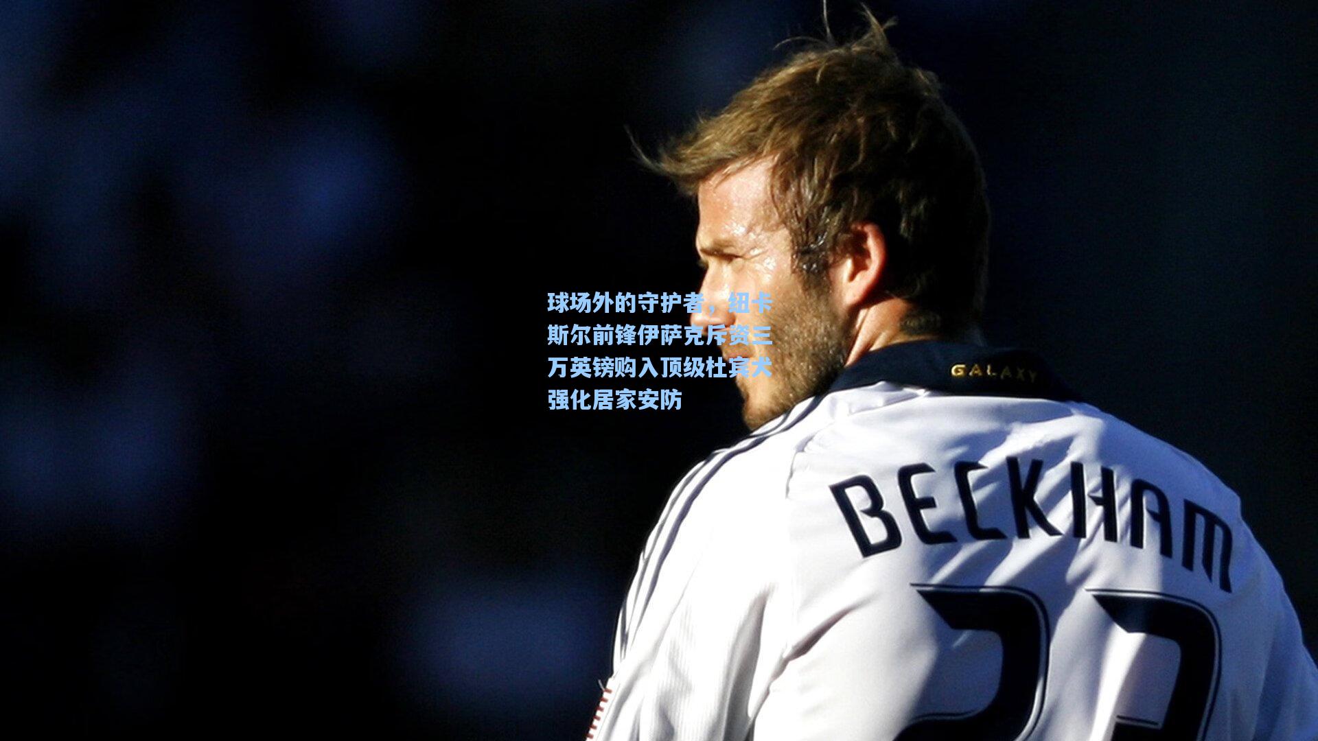 球场外的守护者，纽卡斯尔前锋伊萨克斥资三万英镑购入顶级杜宾犬强化居家安防