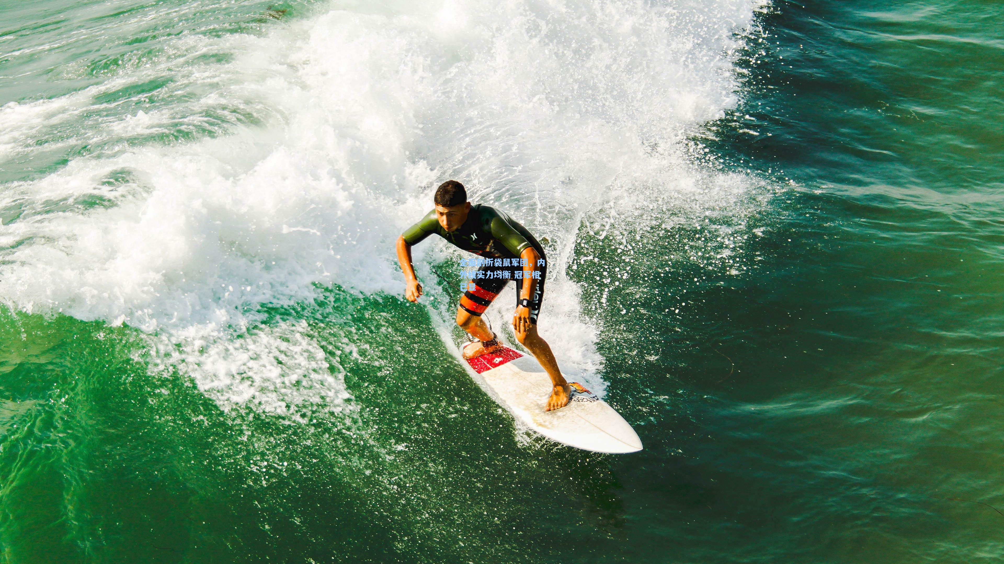 全面剖析袋鼠军团，内外线实力均衡 冠军相已显